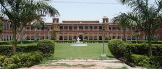 Aligarh Muslim University NIRF Ranking