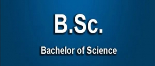 B.Sc. Hons Courses