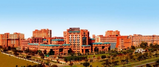 Sharda University MBA Cut off