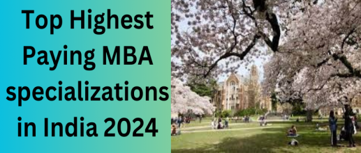 Top Highest Paying MBA specializations in India 2025