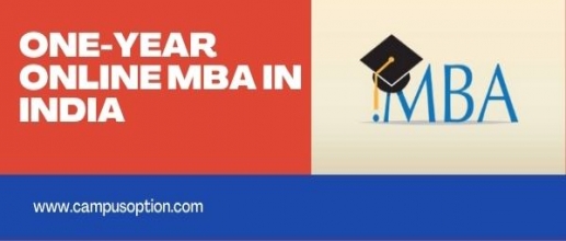 One Year Online MBA in India