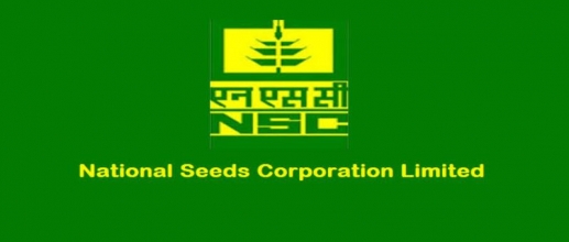 NSCL Recruitment 2020