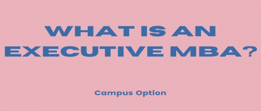 What is an Executive MBA?