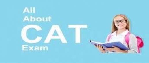 CAT 2024 Preparation Tips