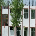Veer Kunwar Institute