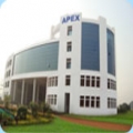 Apex