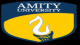 Amity Institute of Competitive Intelligence and Strategic Management