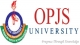 OPJS University School of Commerce and Management Studies