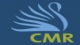 CMR Institute of Management Studies