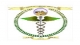 K.A.P. Viswanathan Government Medical College